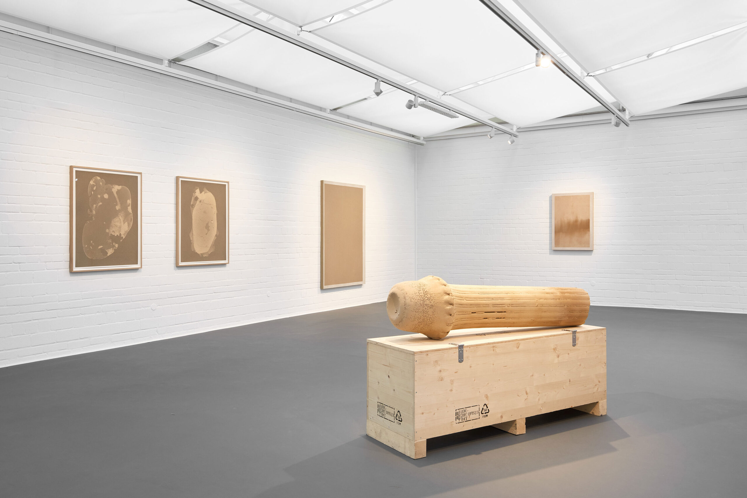 Jeewi-Lee-Sexauer-Gallery