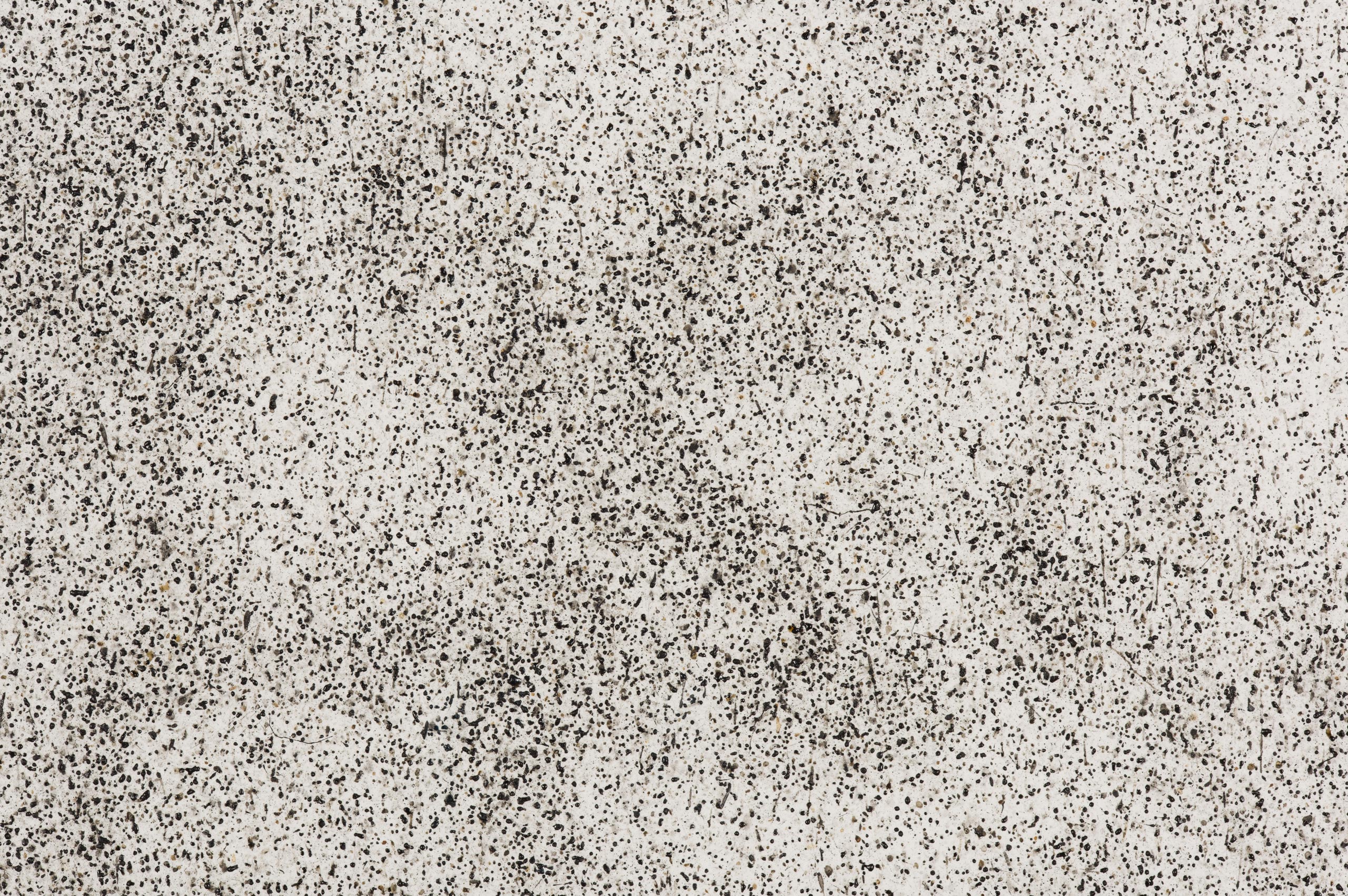 Maximilian_Prüfer_Sexauer_Gallery