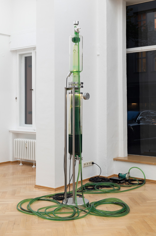 Thomas_Feuerstein_Sexauer_Showroom