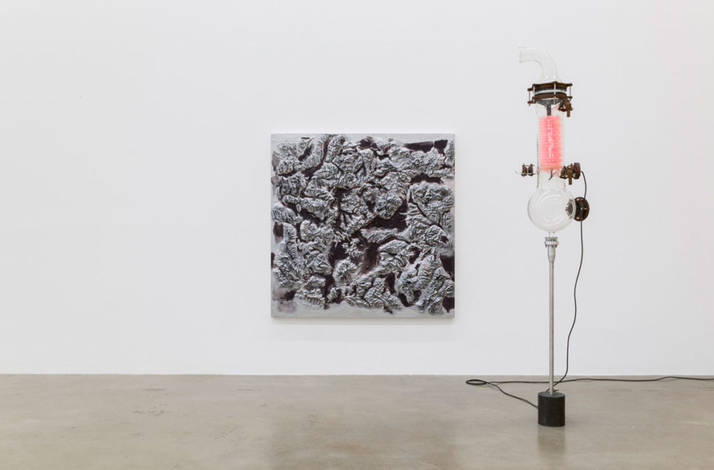 Metabolica_Exhibition_View_Thomas_Feuerstein_Sexauer_Gallery