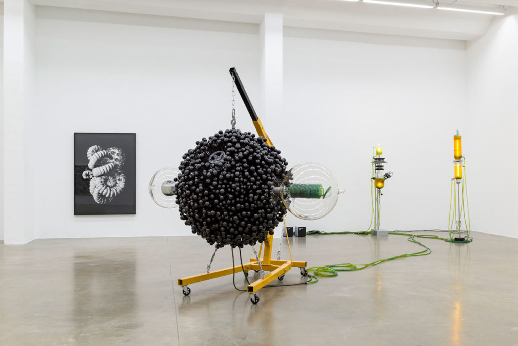 Metabolica_Exhibition_View_Thomas_Feuerstein_Sexauer_Gallery