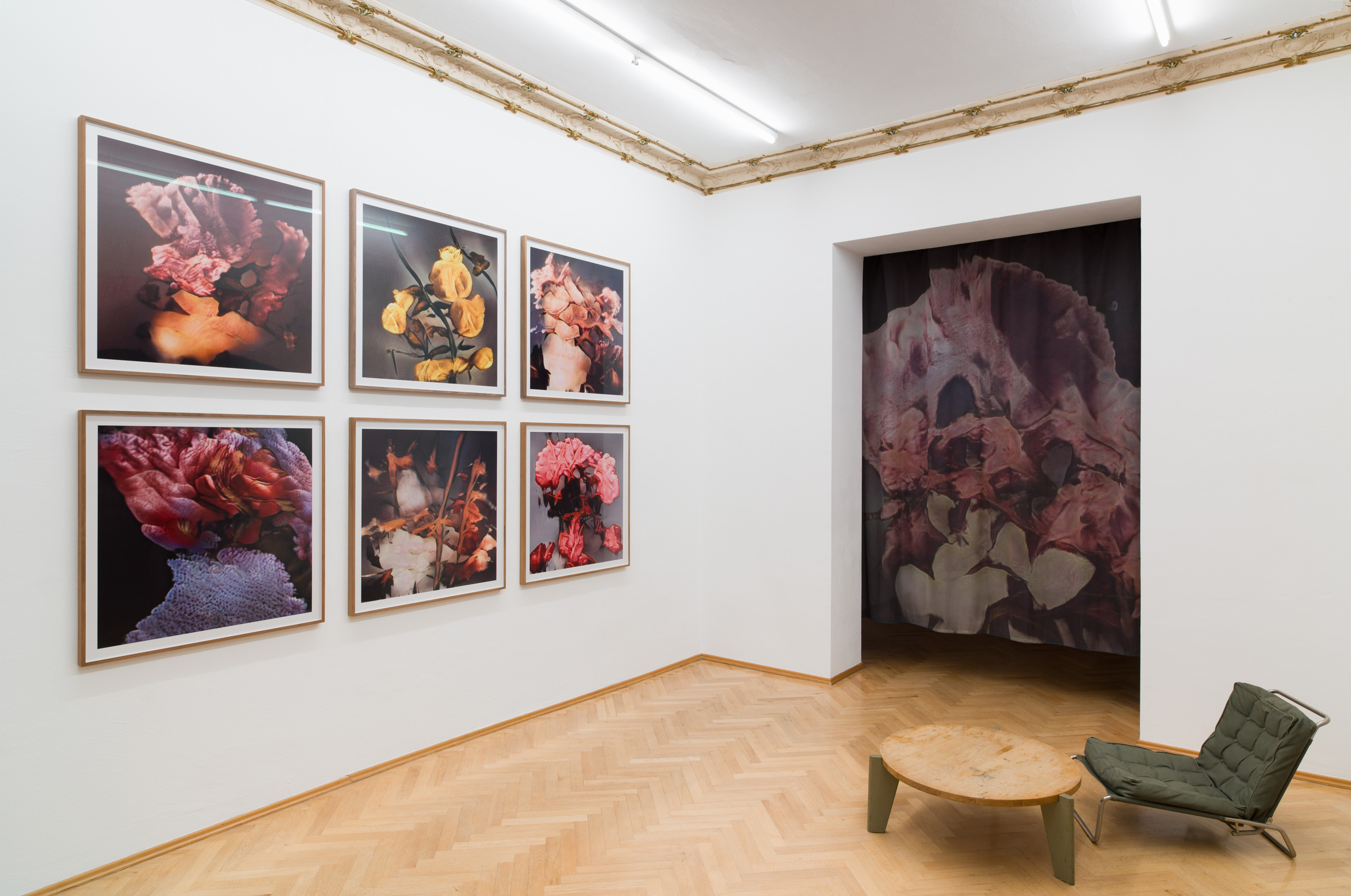 Ornella_Fieres_Sexauer_Gallery