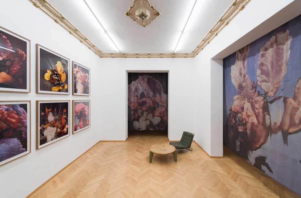 Ornella_Fieres_Sexauer_Gallery_Showroom