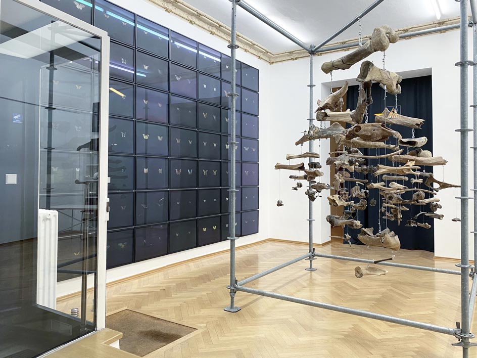 Interactions-5_Sexauer_Gallery_Berlin_Showroom