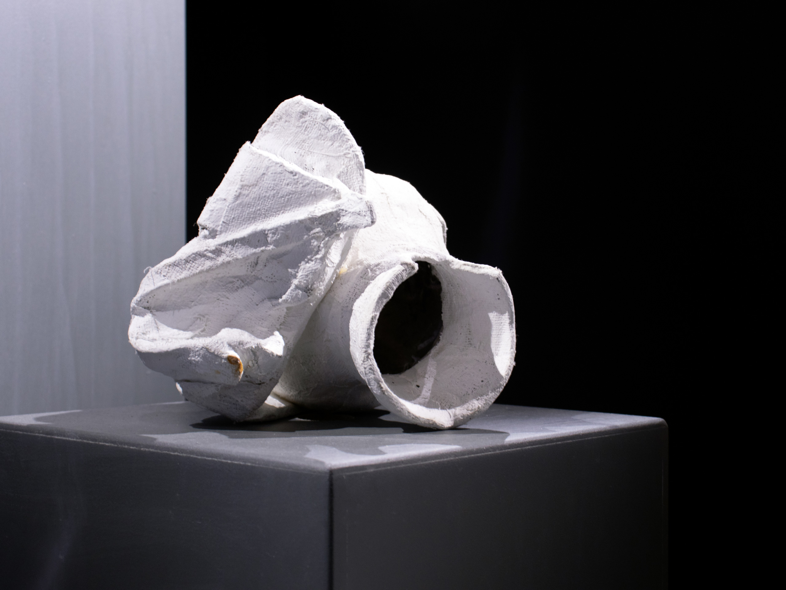 Dior_Thiam_Sexauer_Gallery