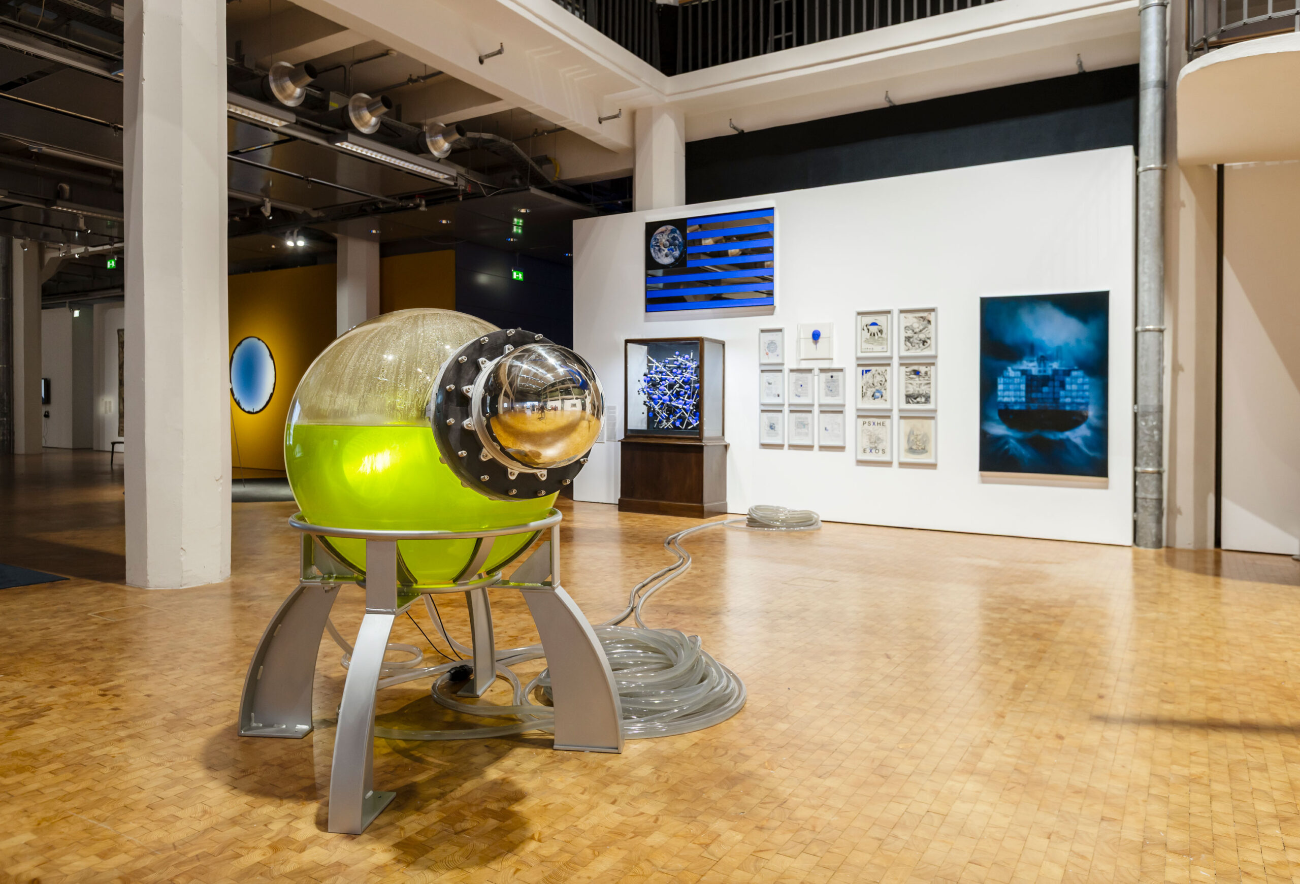 Thomas-Feuerstein-Sexauer-Gallery