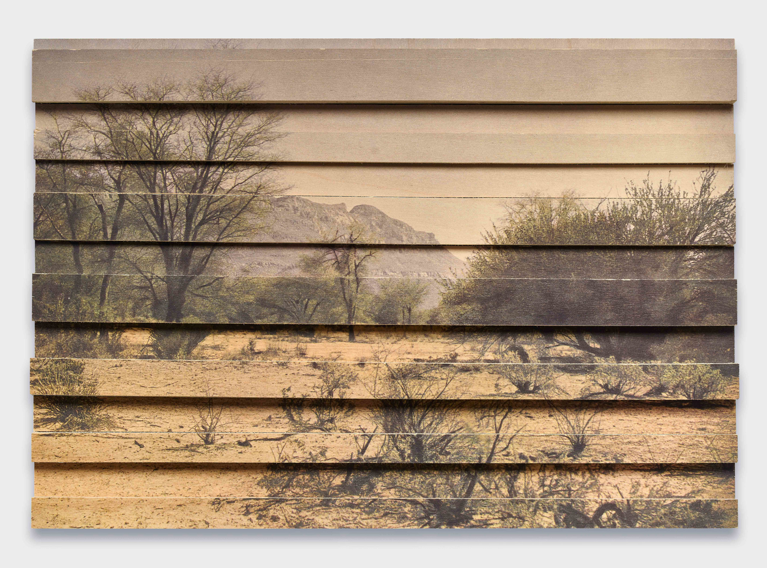 Dior_Thiam_Sexauer_Gallery